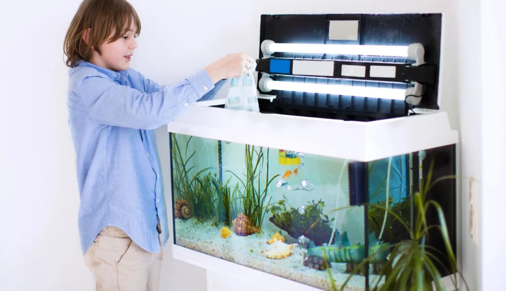 Como Montar um Aquário