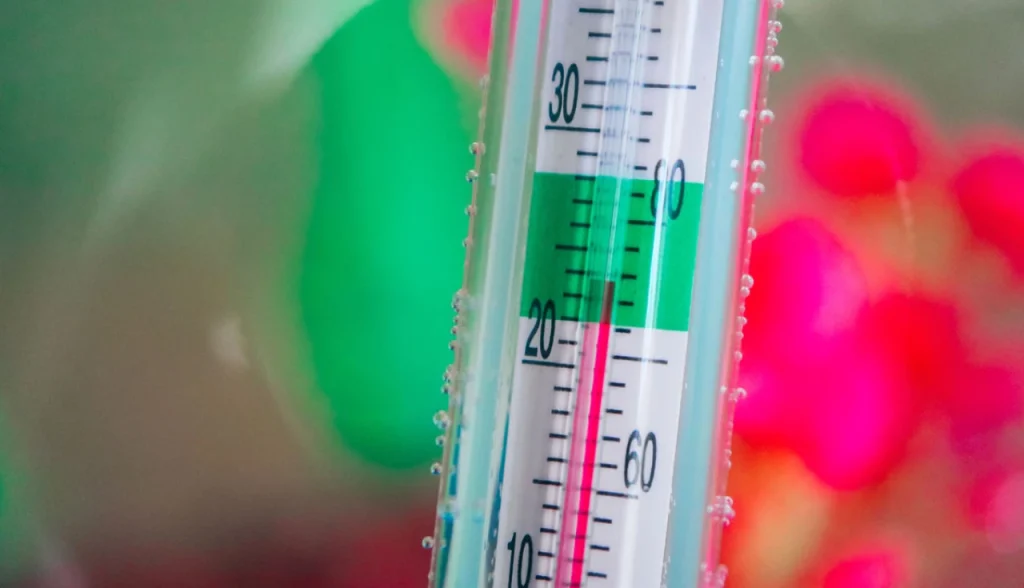 Como Montar um Aquário